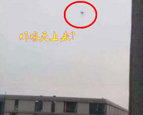 圖片關鍵詞 炸雞天上來,可知「炸機」危害性?